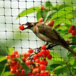 Garden-net