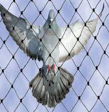 Pigeon Control Anti Bird Net In Dwarka