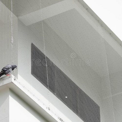 pigeon netting for balcony